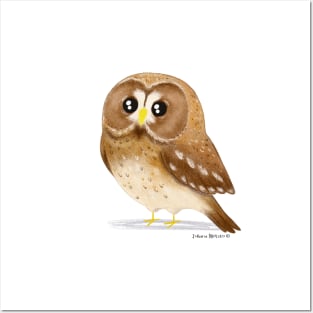 Tawny Owl Posters and Art